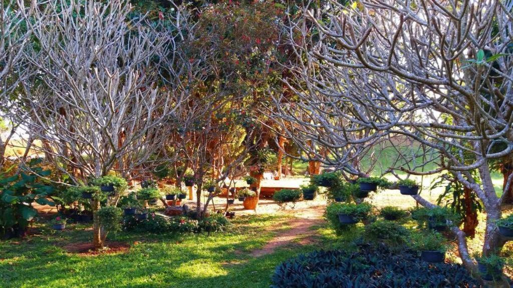 Kirirath Resort Wangkata Bagian luar foto